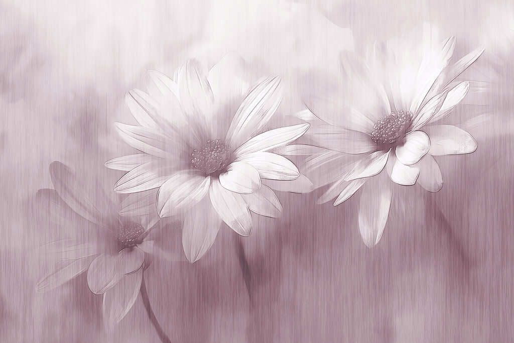 Primer plano de flores Primer plano de flores