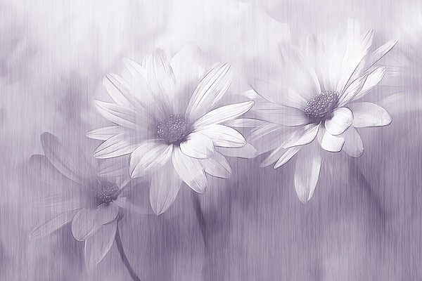 Primer plano de flores Primer plano de flores