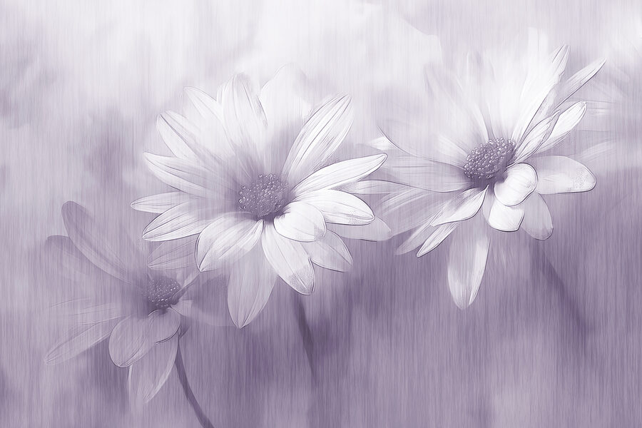 Primer plano de flores