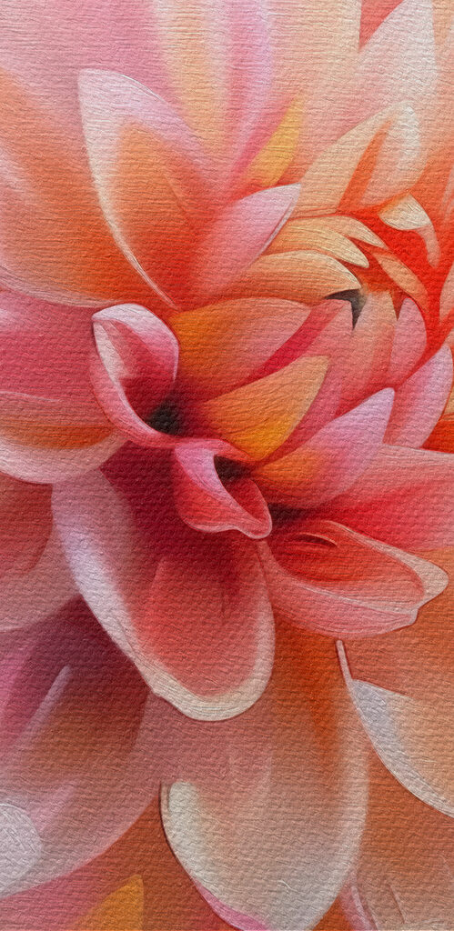 Close up of a flower Close up of a flower