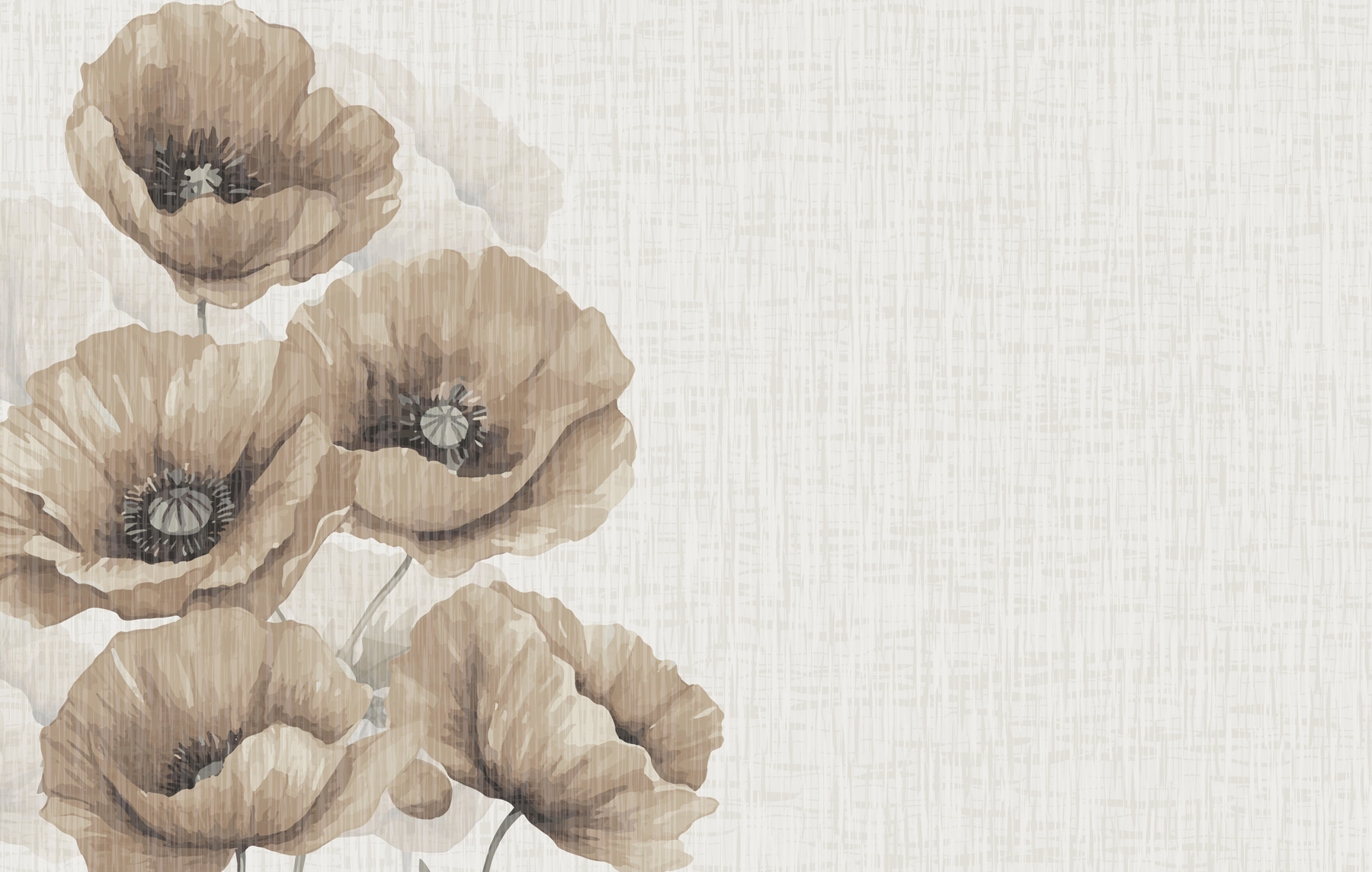 Close up of flowers Close up of flowers