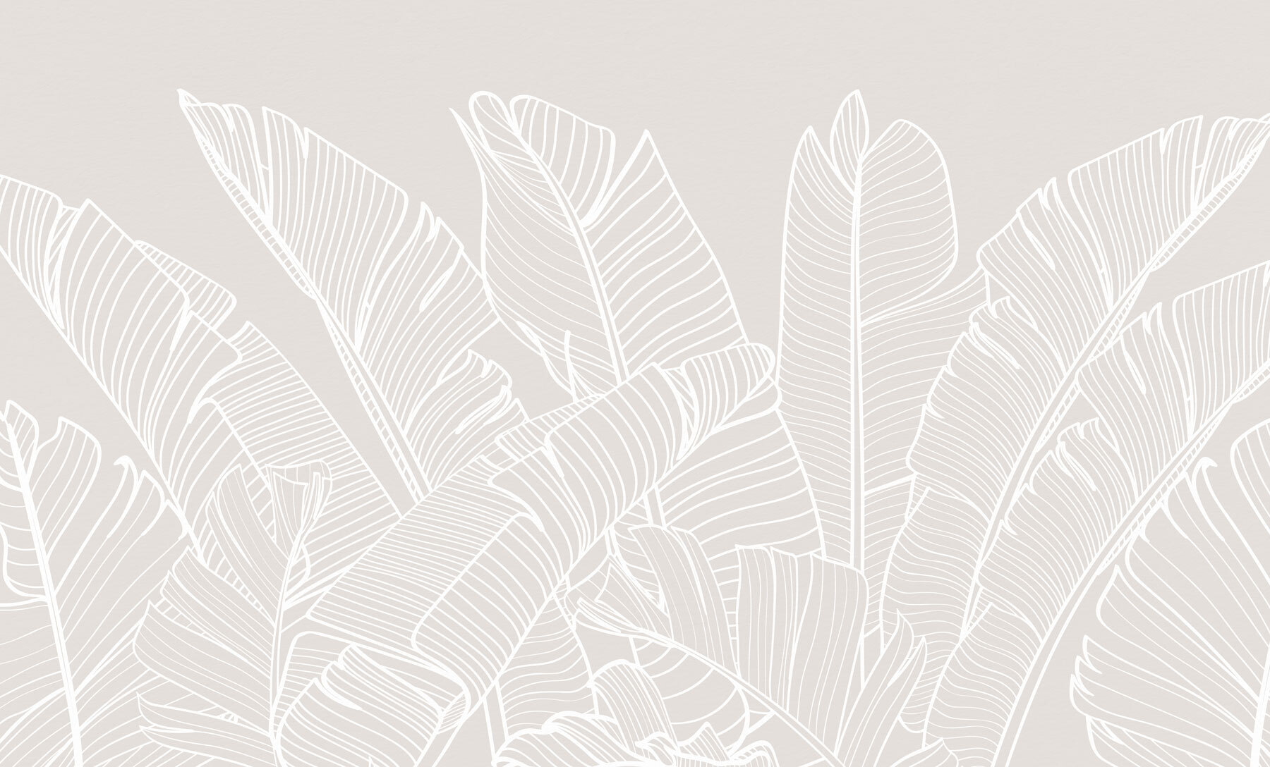 Close up of leaves