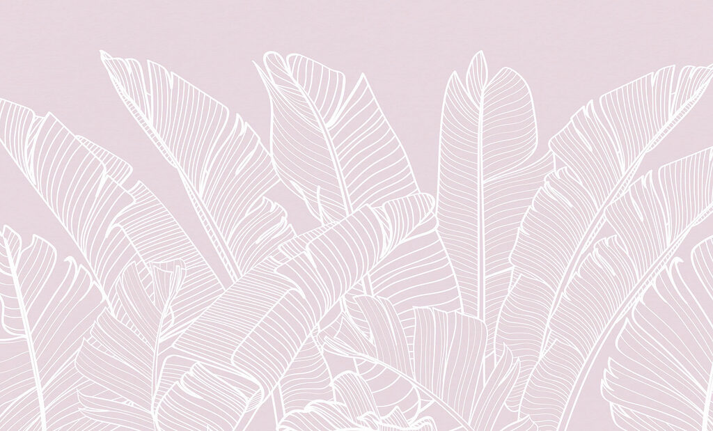 Close up of leaves