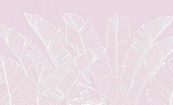 Close up of leaves
