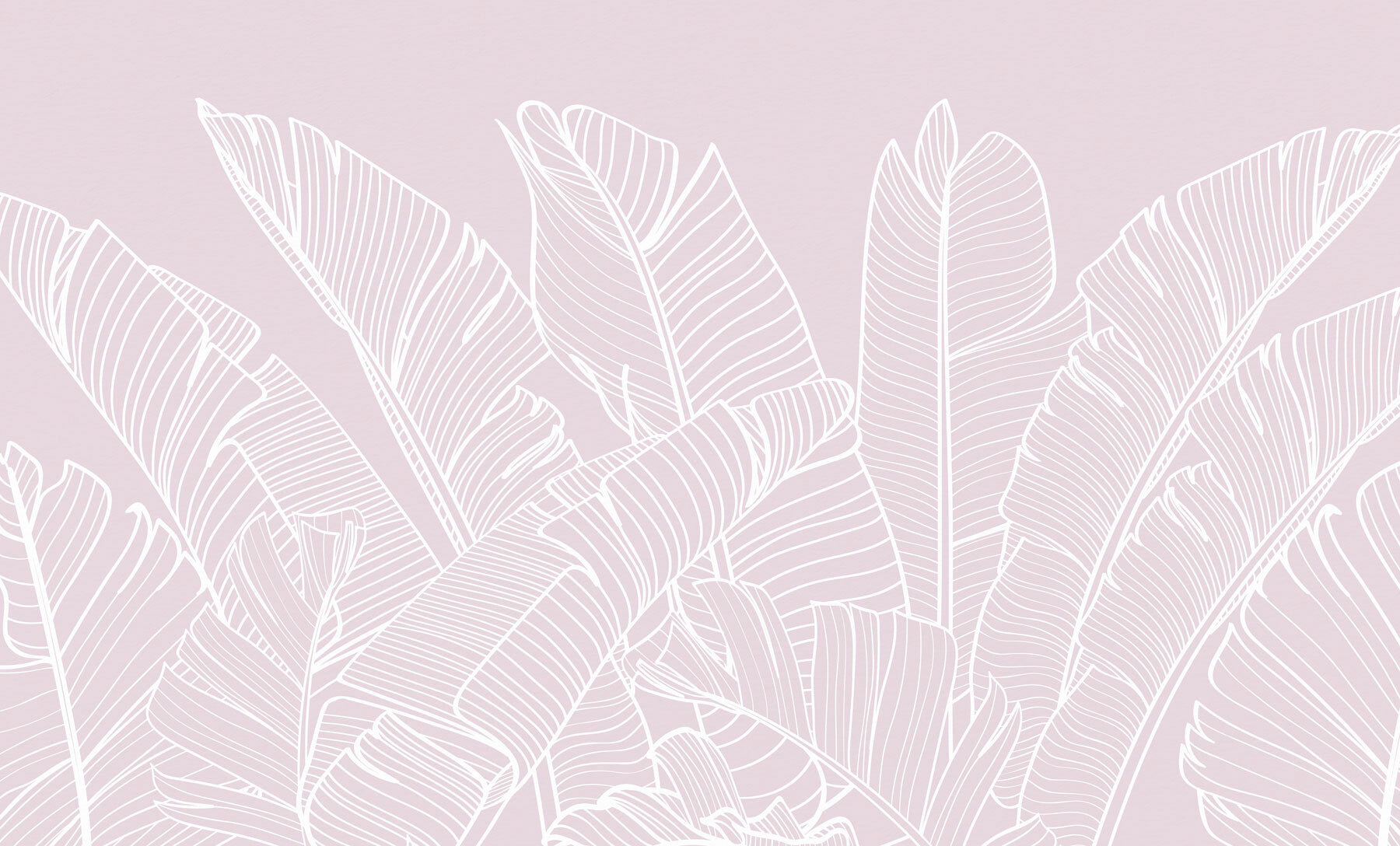 Close up of leaves