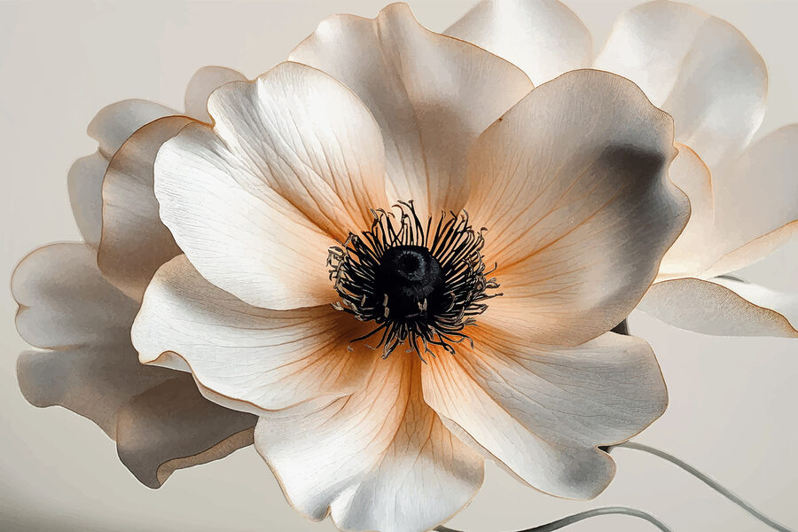 Primer plano de una flor
