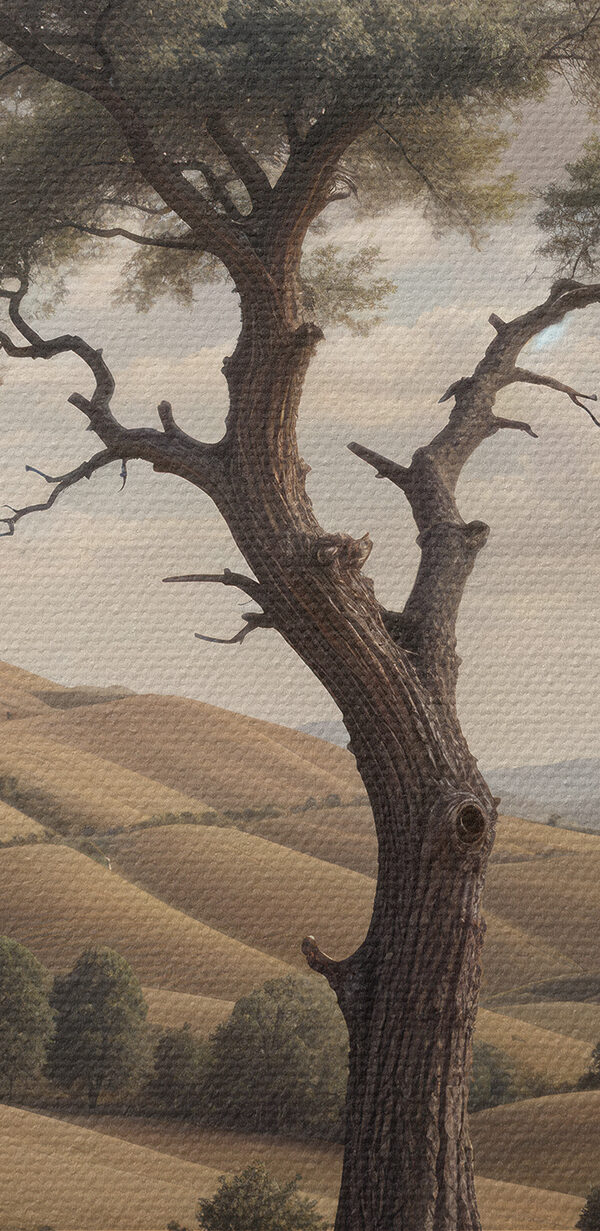 Tree in a field Tree in a field