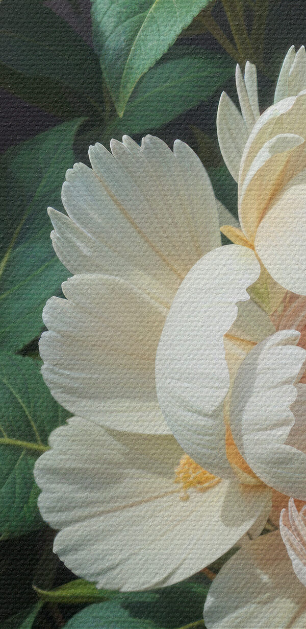 Group of flowers with green leaves