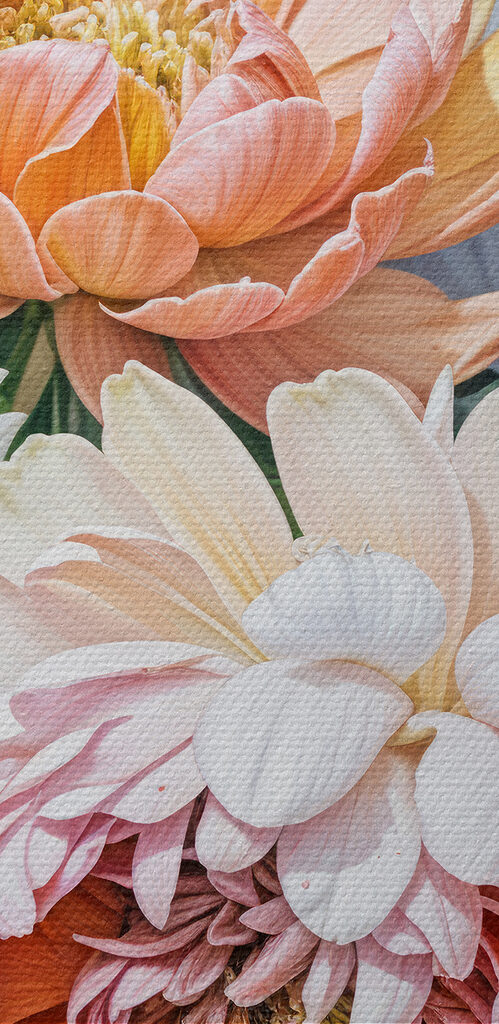 Group of flowers with leaves