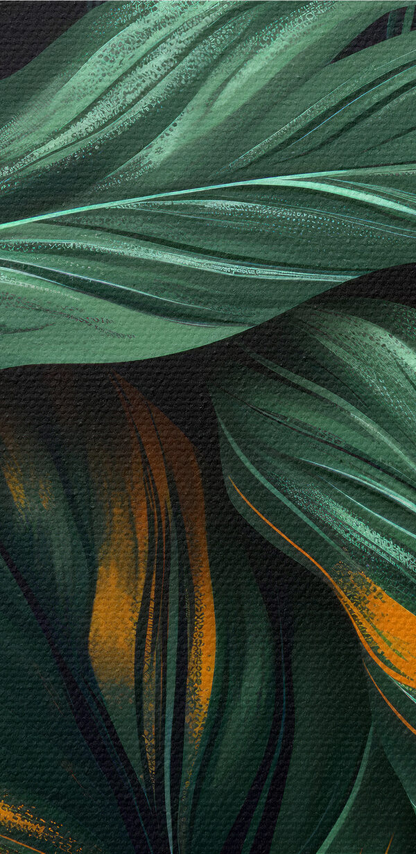 Close up of green and yellow leaves Close up of green and yellow leaves