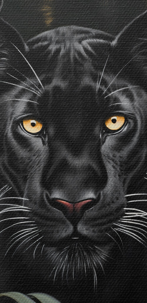 Group of black tigers in the jungle Group of black tigers in the jungle