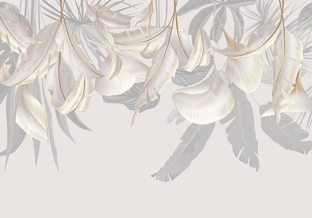 Close up of feathers Close up of feathers