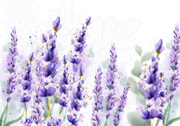 Grupo de flores moradas Grupo de flores moradas