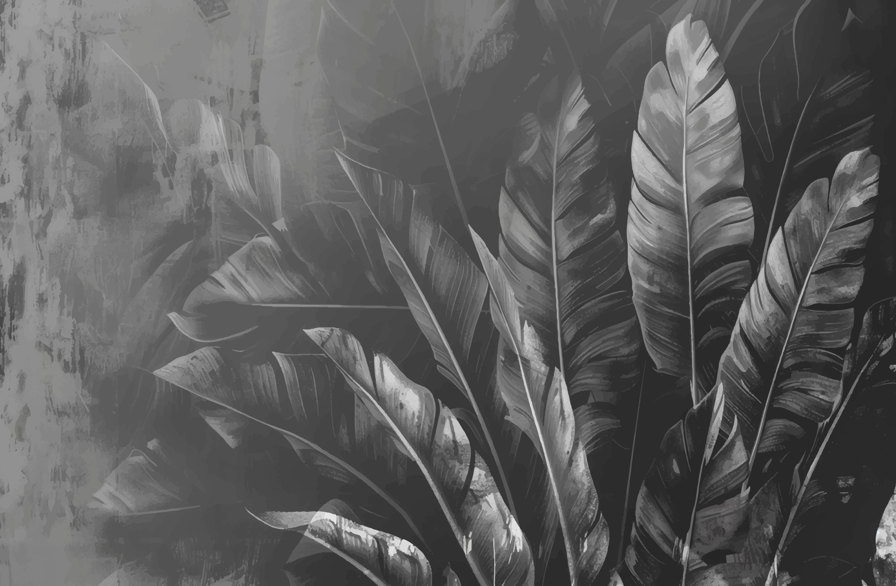 Close up of leaves Close up of leaves