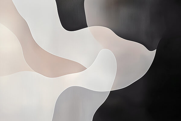 Black and white background with white and grey shapes Black and white background with white and grey shapes