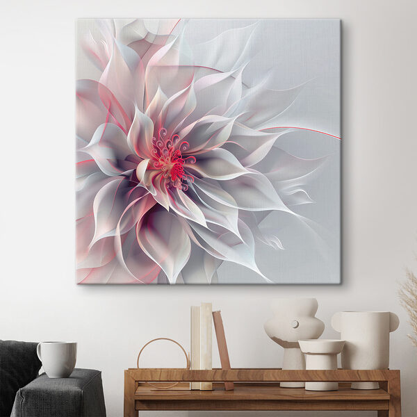White and pink flower White and pink flower