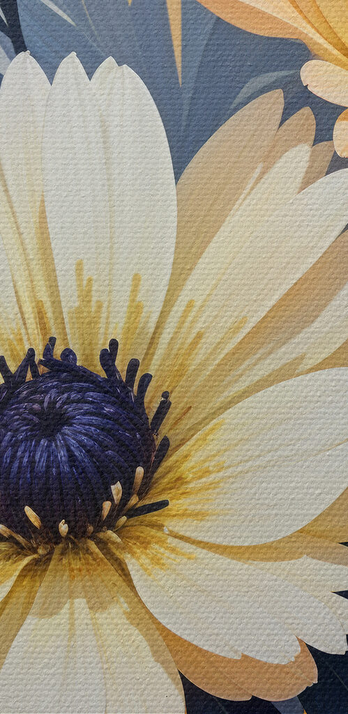 Close up of flowers