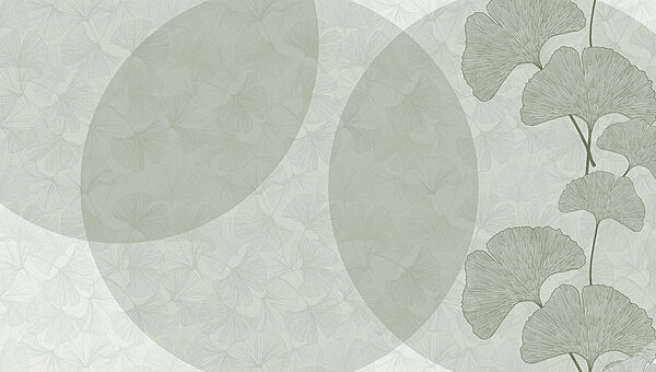 Fondo verde y blanco con círculos y líneas Fondo verde y blanco con círculos y líneas