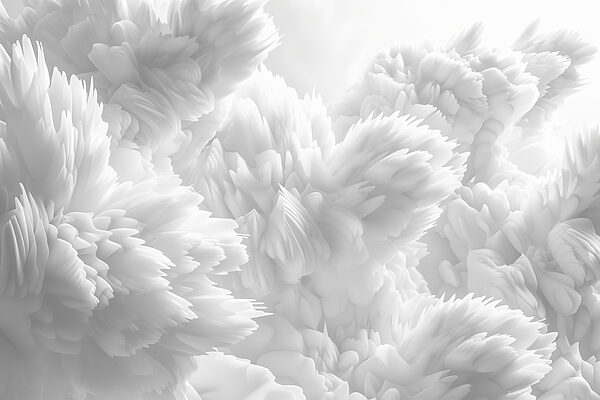 Primer plano de objetos blancos esponjosos Primer plano de objetos blancos esponjosos