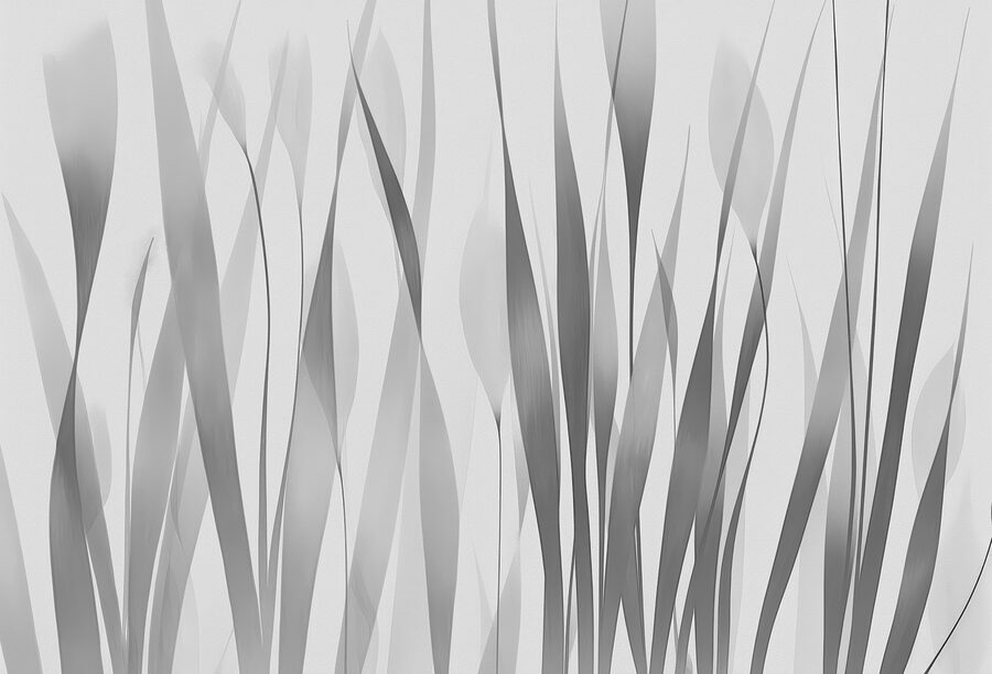 Imagen de plantas en blanco y gris