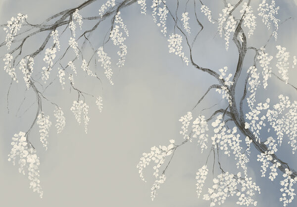 Tree branch with white flowers