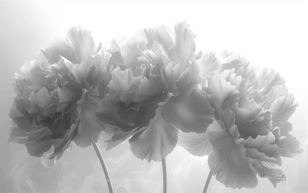Grupo de flores sobre fondo blanco Grupo de flores sobre fondo blanco