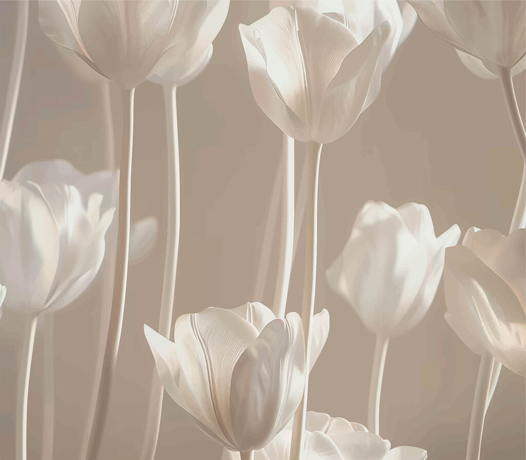 Grupo de flores blancas Grupo de flores blancas
