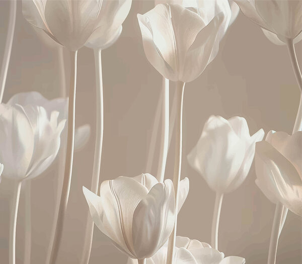 Grupo de flores blancas Grupo de flores blancas