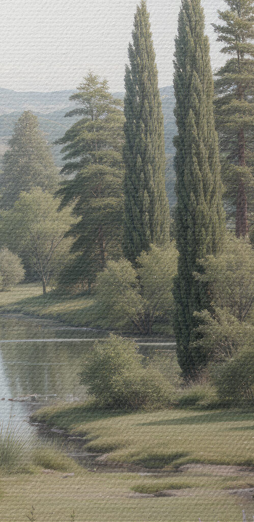Lake with trees and grass and flowers Lake with trees and grass and flowers