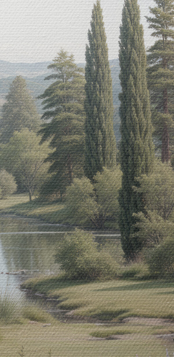 Lake with trees and grass and flowers Lake with trees and grass and flowers