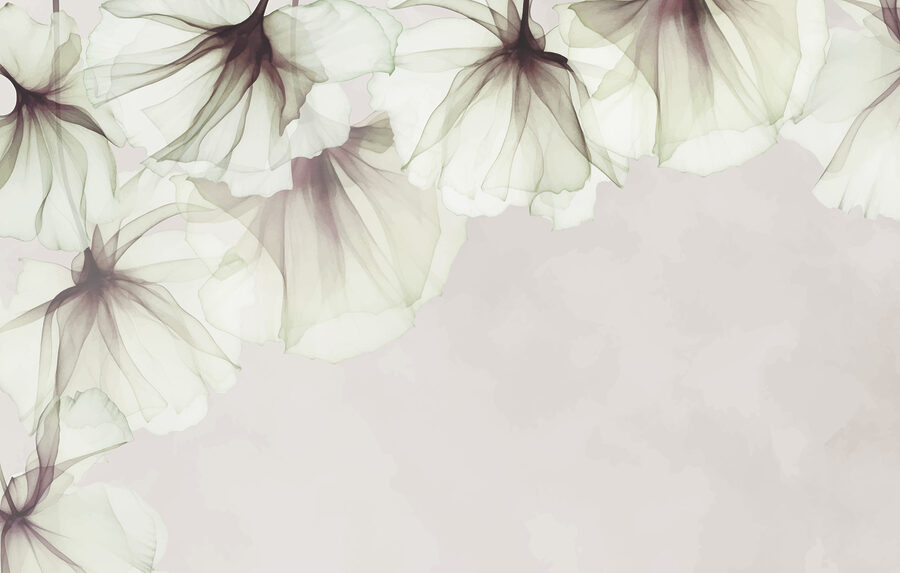 Primer plano de flores