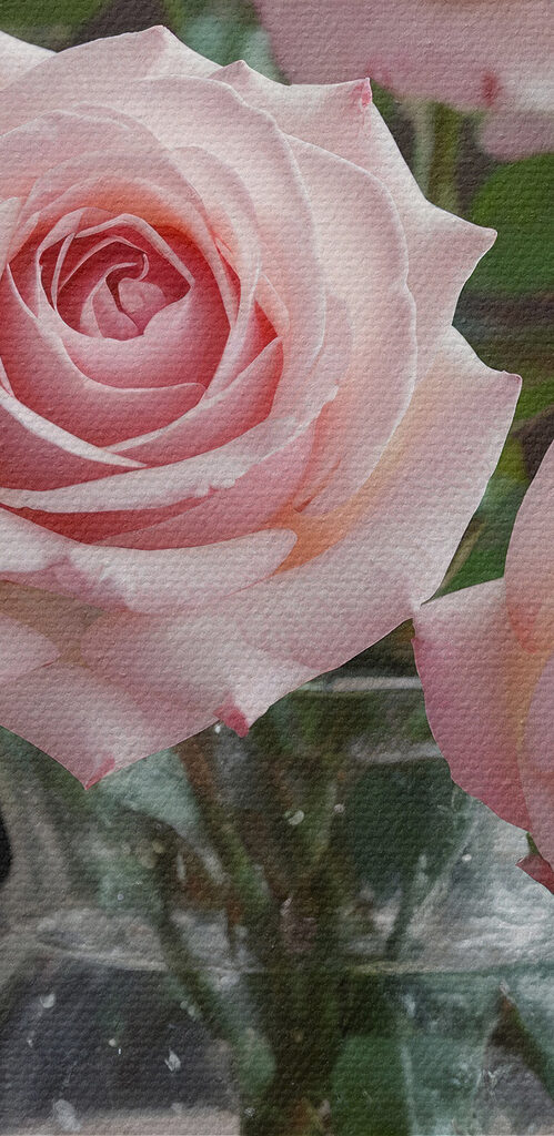 Vase of pink roses Vase of pink roses
