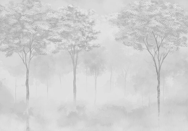 Grupo de árboles en un bosque con niebla Grupo de árboles en un bosque con niebla