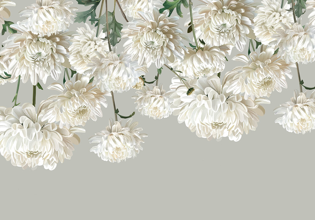Grupo de flores blancas Grupo de flores blancas