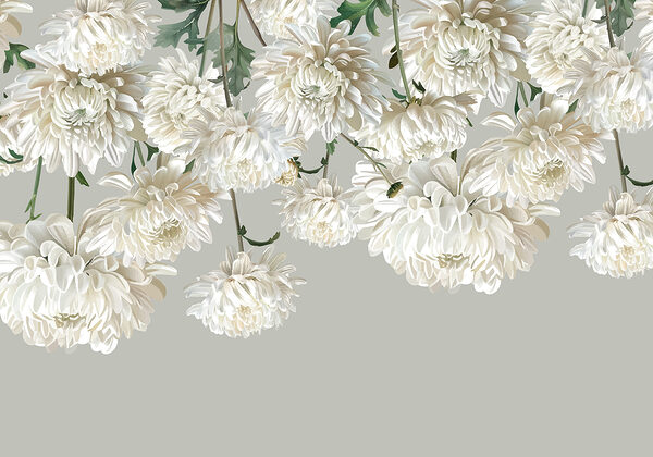 Grupo de flores blancas Grupo de flores blancas