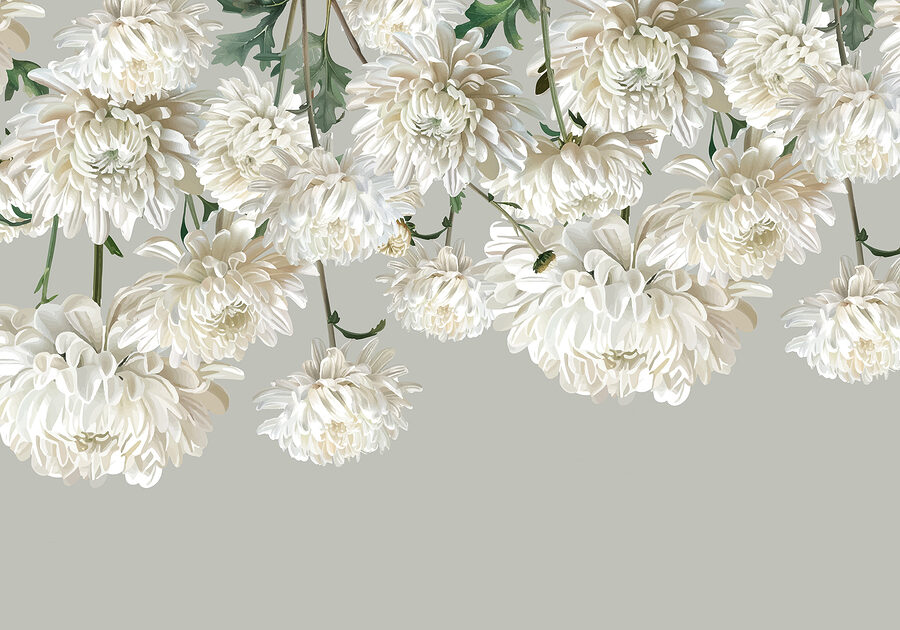 Fotomurales Grupo de flores blancas - Imagen 7