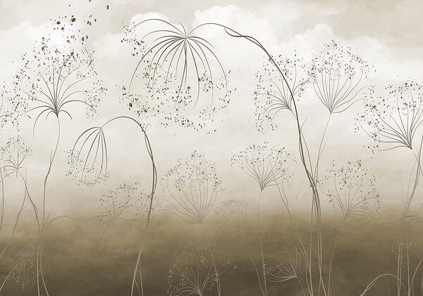 Paisaje etéreo de delicadas flores. Paisaje etéreo de delicadas flores.