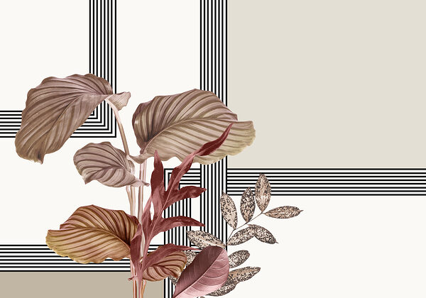 Planta con hojas marrones Planta con hojas marrones