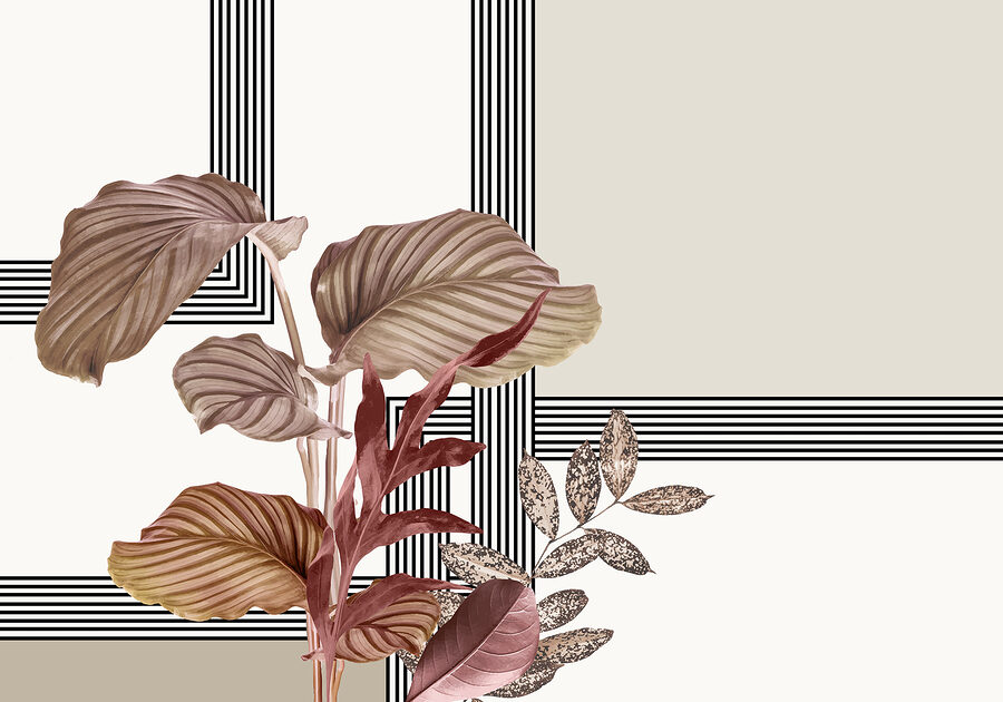 Planta con hojas marrones