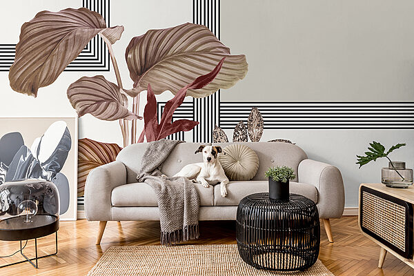 Planta con hojas marrones Planta con hojas marrones