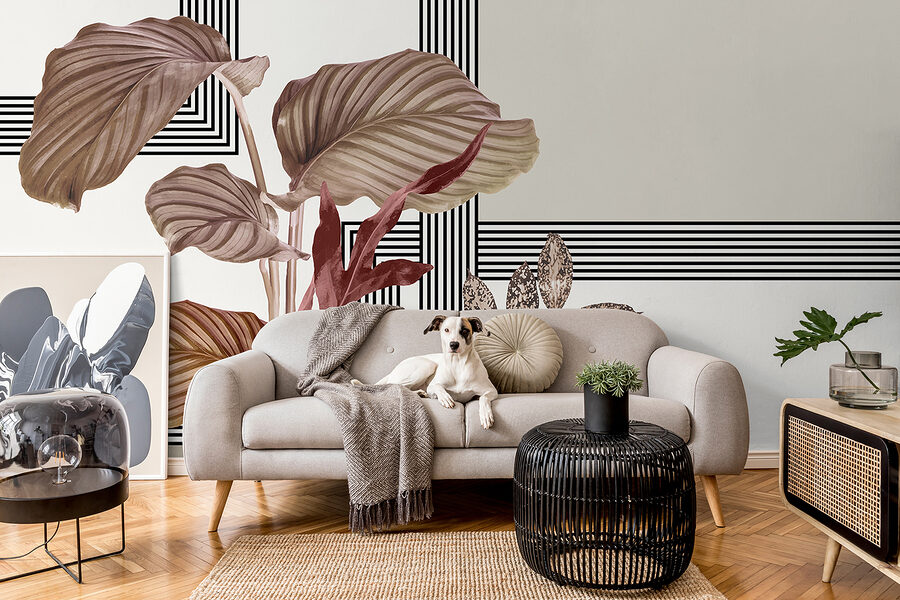 Planta con hojas marrones