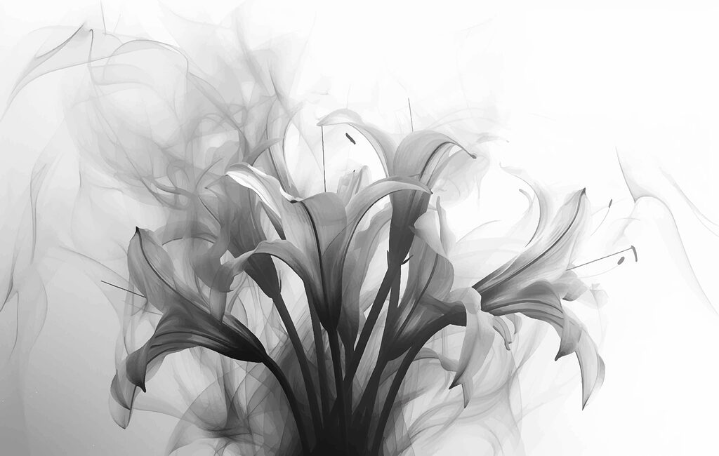 Imagen de flores en blanco y negro Imagen de flores en blanco y negro