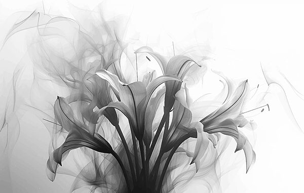 Imagen de flores en blanco y negro Imagen de flores en blanco y negro