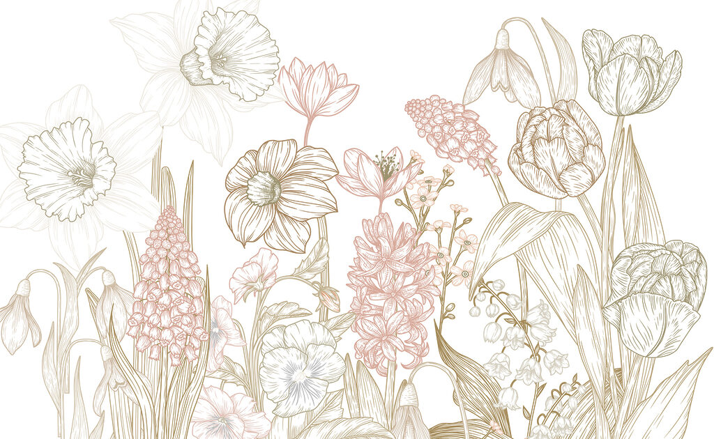 Dibujo de flores y plantas Dibujo de flores y plantas