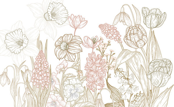 Dibujo de flores y plantas Dibujo de flores y plantas