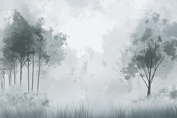 Bosque brumoso con árboles Bosque brumoso con árboles