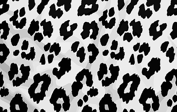 Primer plano de una piel de animal en blanco y negro Primer plano de una piel de animal en blanco y negro
