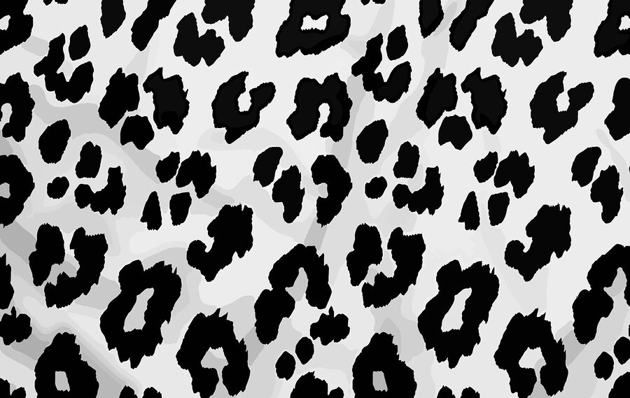 Primer plano de una piel de animal en blanco y negro Primer plano de una piel de animal en blanco y negro