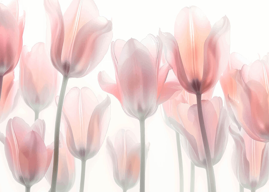 Grupo de flores rosas