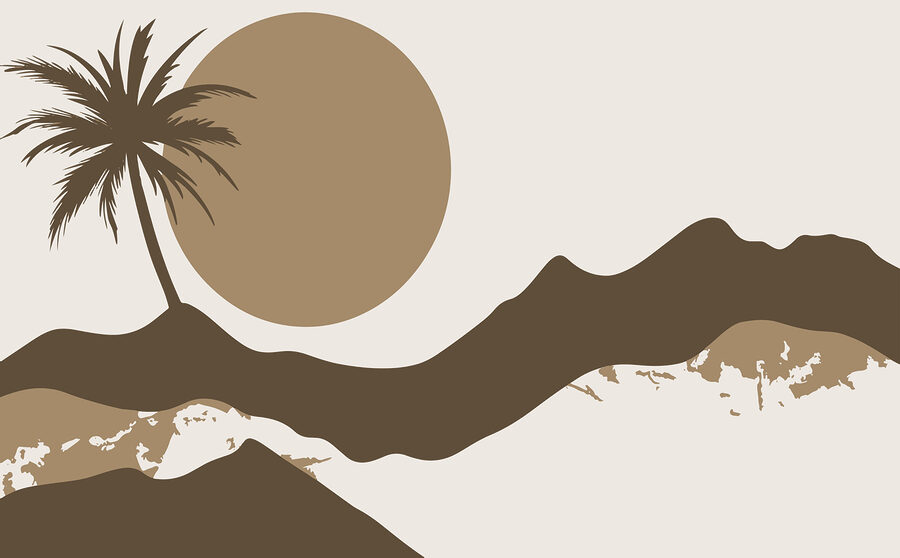 Palmera y sol